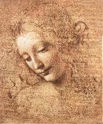 LEONARDO da Vinci Madchenkopf with confused hair oil painting reproduction